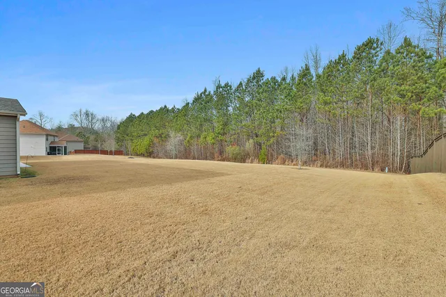 $4,000 | 435 Park Haven Lane, Tyrone, GA 30290