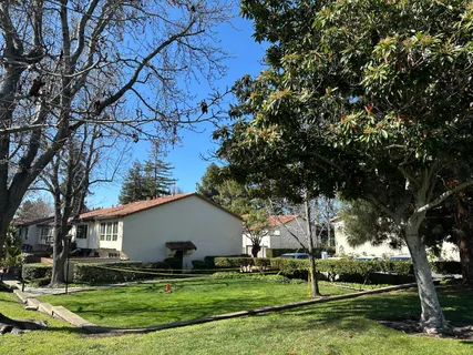 a view of a white house next to a yard with big trees