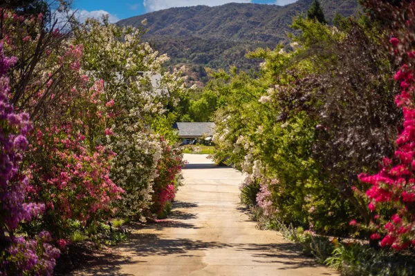 $8,230,000 | 741 Saddle Lane, Ojai, CA 93023