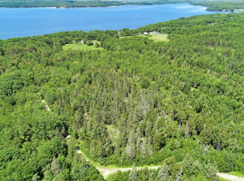 64 New Homestead Road Penobscot, ME 04476 - Photo 2 of 9 image (1)