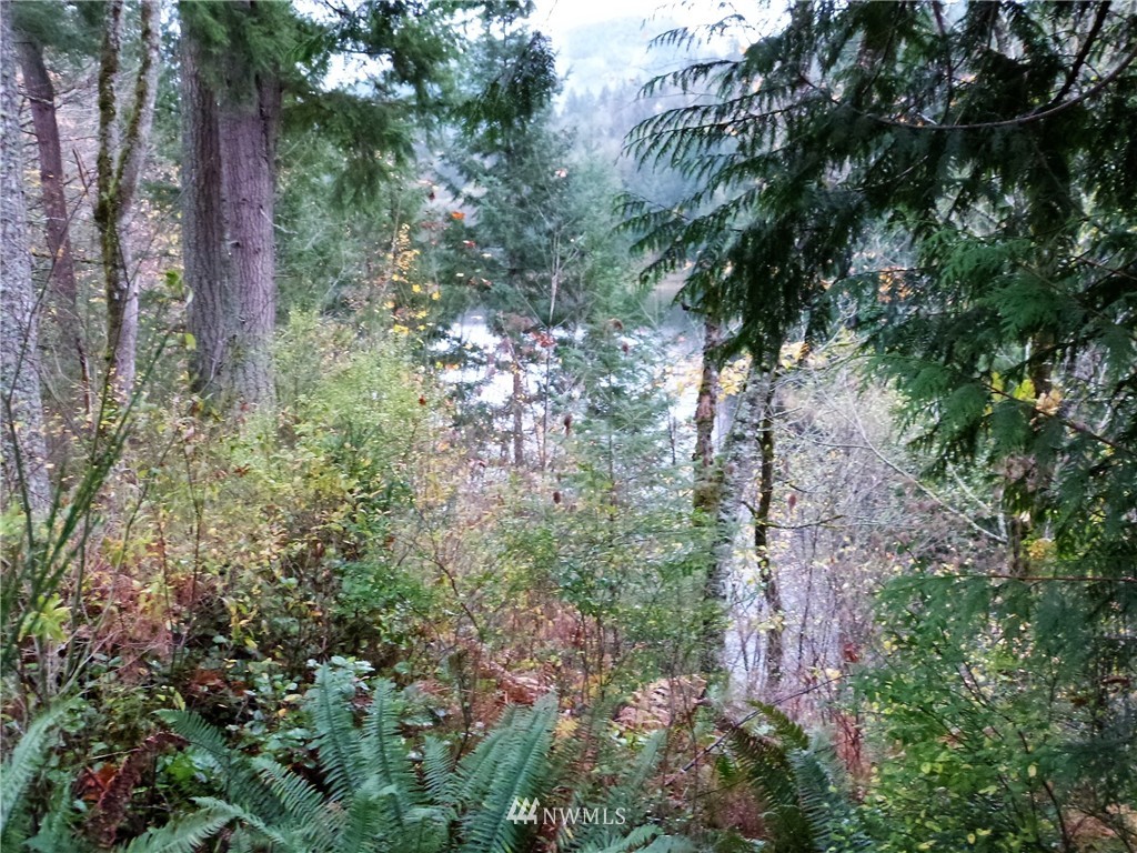 2529 Squires Road Bellingham, WA 98229 - Photo 22 of 25 Gallery Image 22
