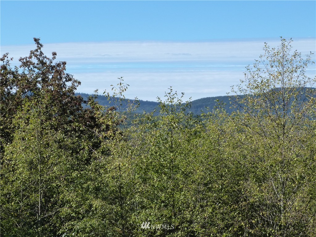 2529 Squires Road Bellingham, WA 98229 - Photo 23 of 25 Gallery Image 23