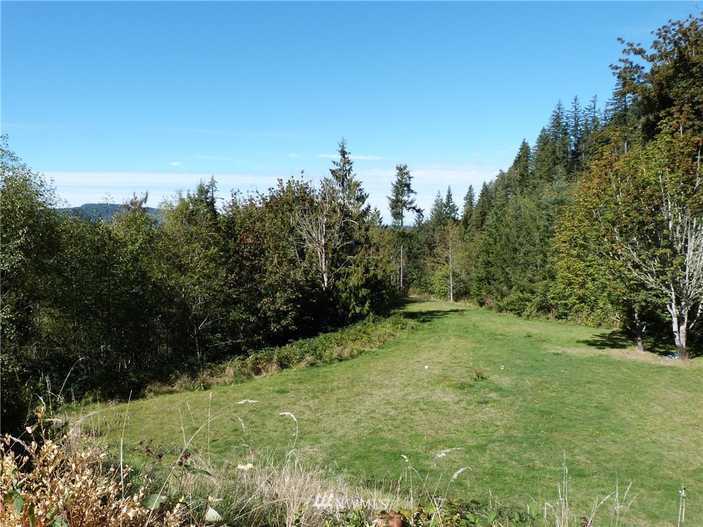 2529 Squires Road Bellingham, WA 98229 - Photo 24 of 25 Gallery Image 24