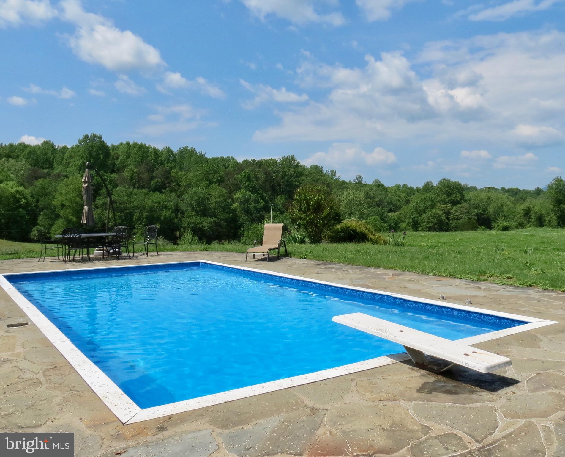 12036 Crest Hill Road Hume, VA 22639 - Photo 23 of 30 Pool