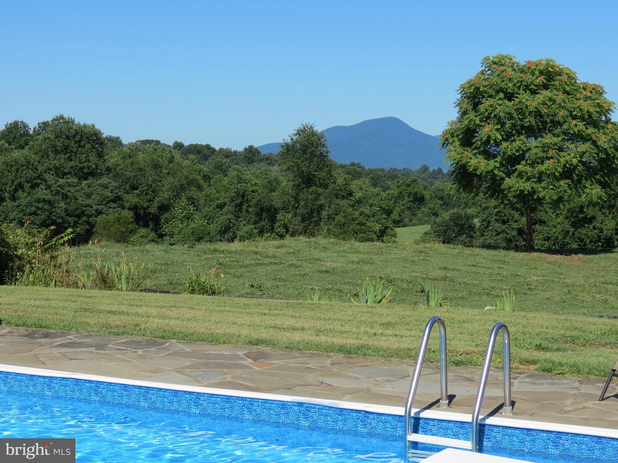 12036 Crest Hill Road Hume, VA 22639 - Photo 24 of 30 Pool and mountain view