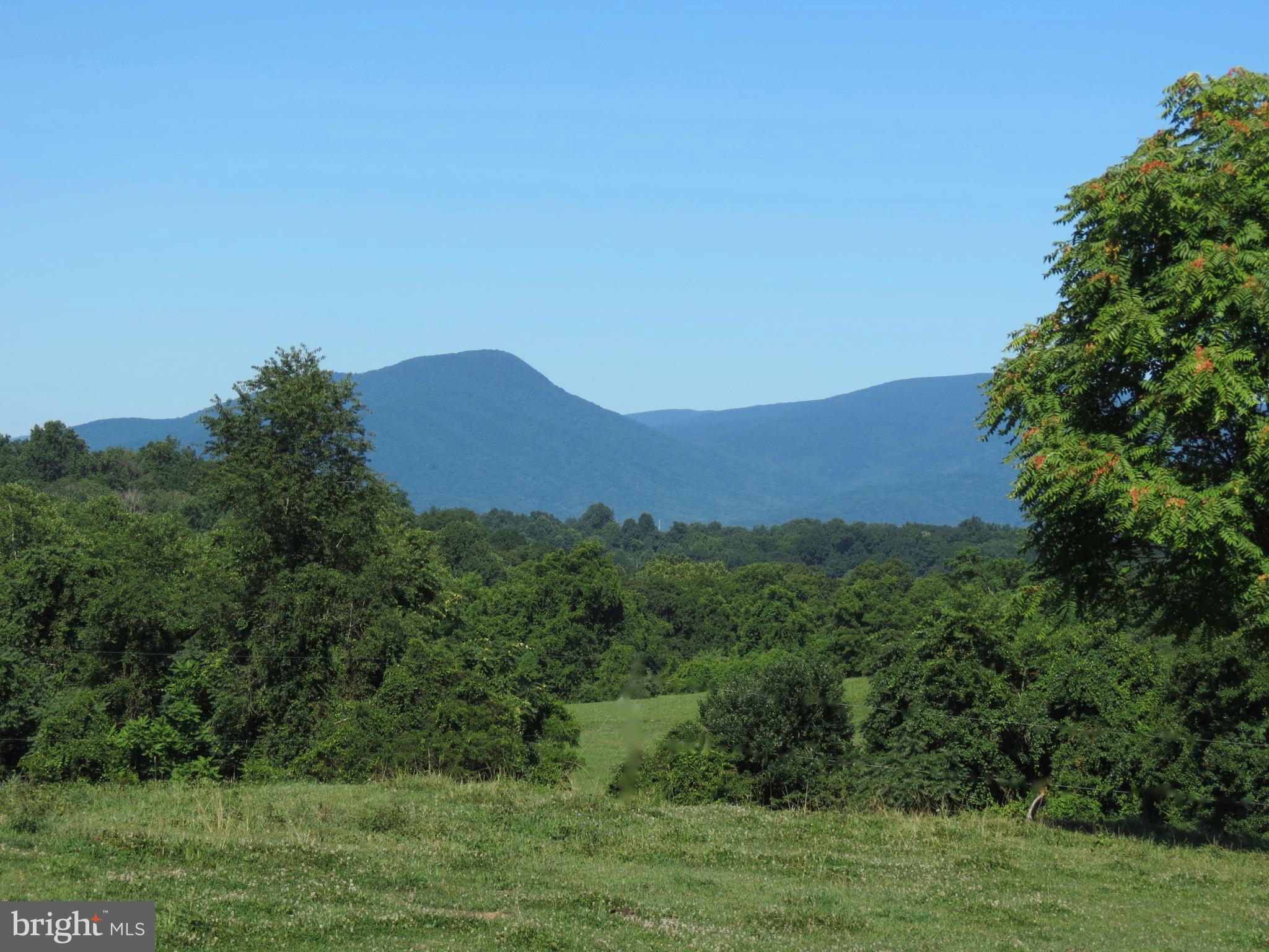 12036 Crest Hill Road Hume, VA 22639 - Photo 27 of 30 Blue Ridge Mountain view
