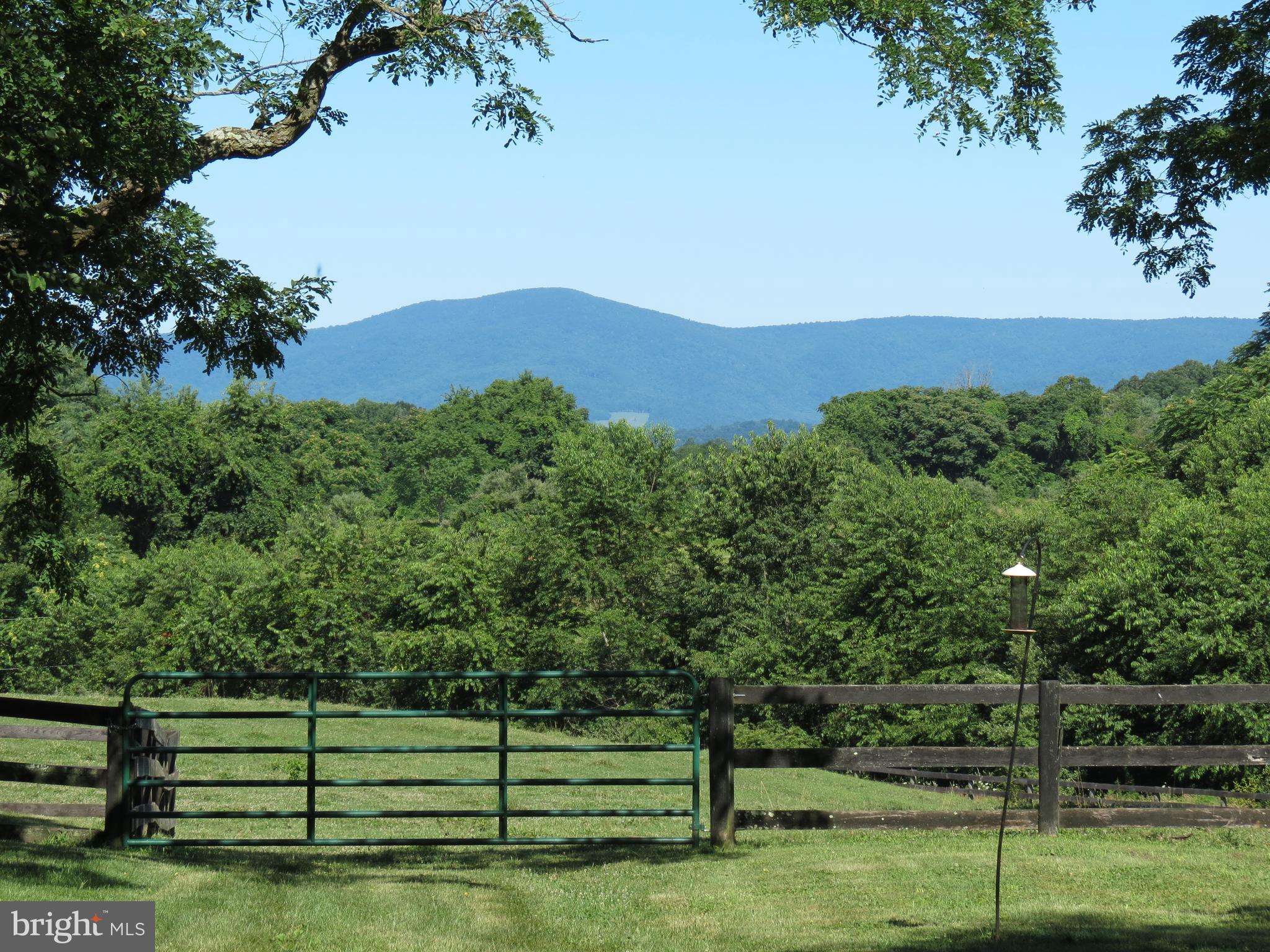 12036 Crest Hill Road Hume, VA 22639 - Photo 28 of 30 Blue Ridge Mountains continued