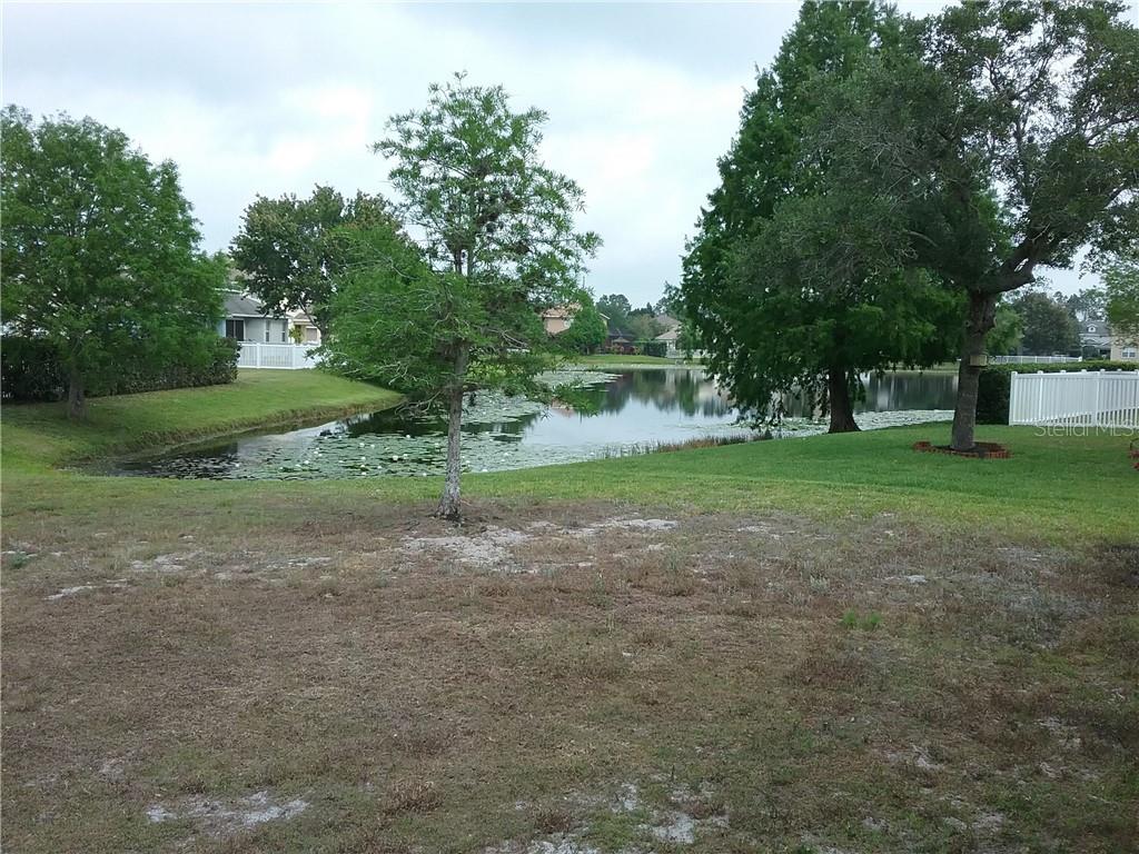 6246 Blue Runner Court Lakewood Ranch, FL 34202 - Photo 12 of 13 a view of a yard with tree in front of it