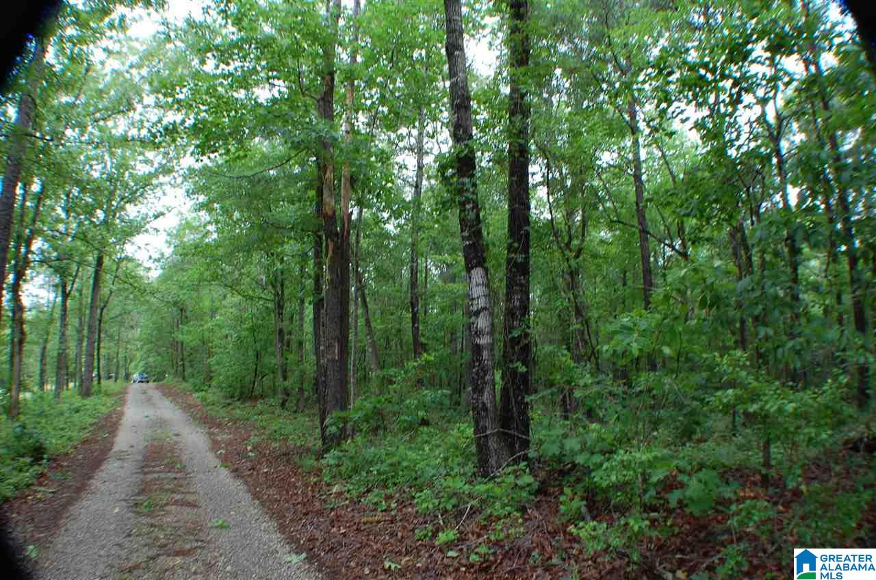 950 County Road 478, Unit 1 Clanton, AL 35046 - Photo 28 of 31