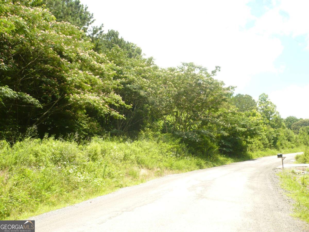 a view of a yard with plants and a lawn chair