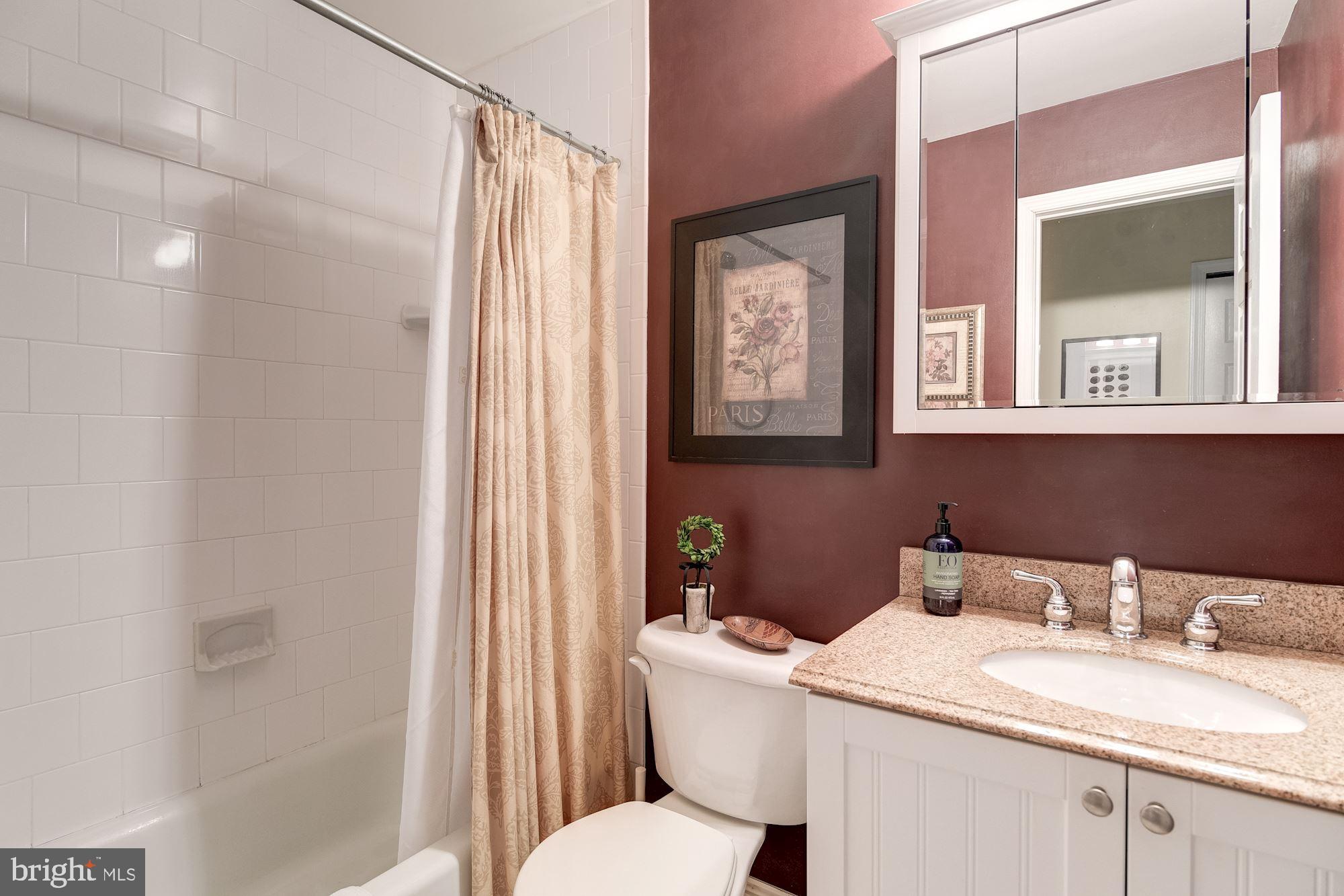 392 Ronsdale Road Sykesville, MD 21784 - Photo 19 of 34 Full Bath