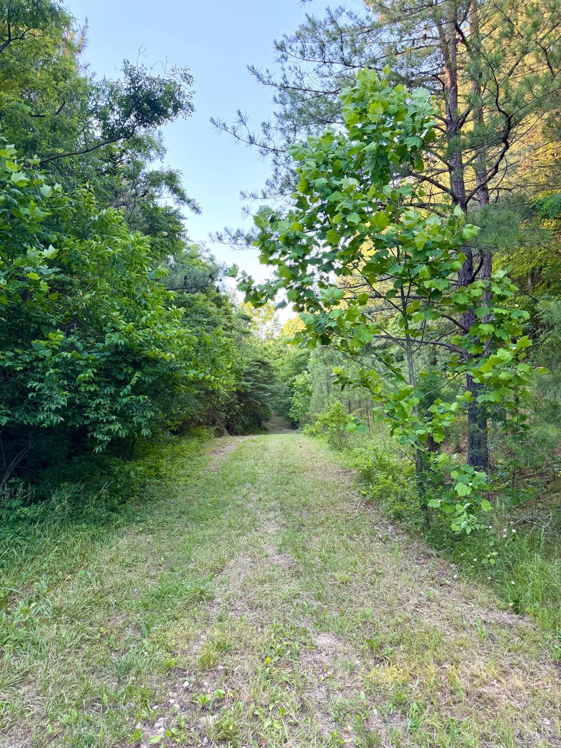 0 North Falls Road Bainbridge, OH 45612 - Photo 65 of 99