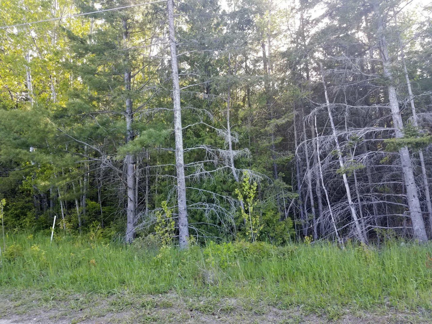 Boundary Rd Street St. Ignace, MI 49781 - Photo 10 of 24 Gallery Image 10