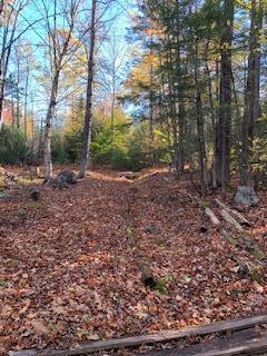 381 Long Falls Dam Road New Portland, ME 04961 - Photo 12 of 12 IMG_7489