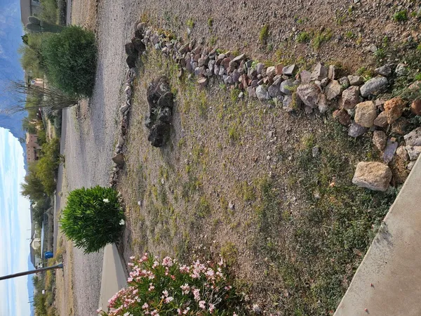 $1,900 | 1458 North Acacia Road, Apache Junction, AZ 85119