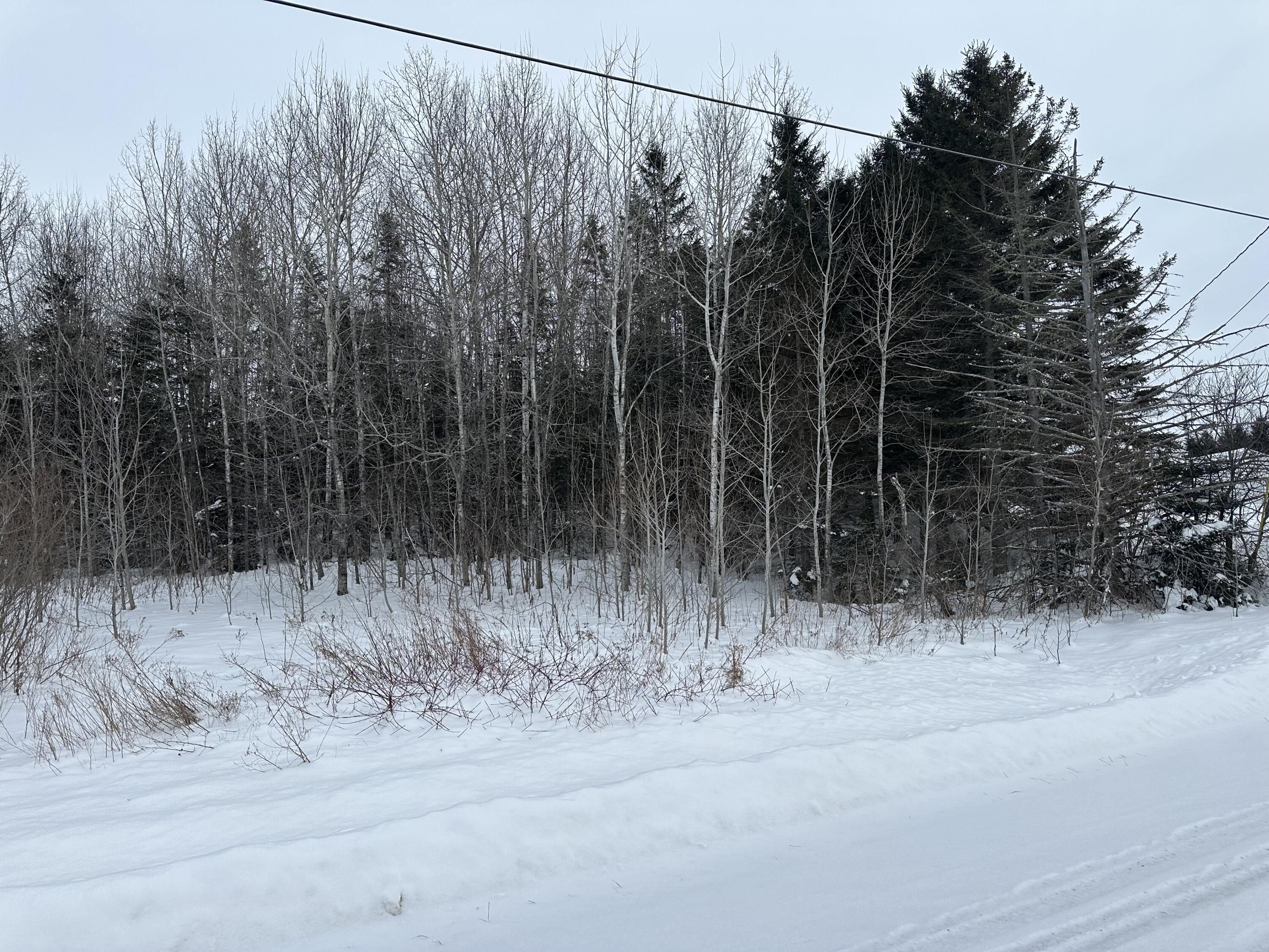 Lot 26 Belyea Road Caribou, ME 04736 - Photo 2 of 3 IMG_5918
