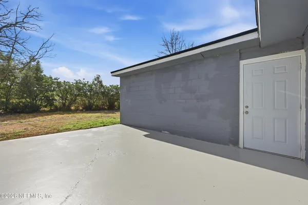 a view of backyard and tree