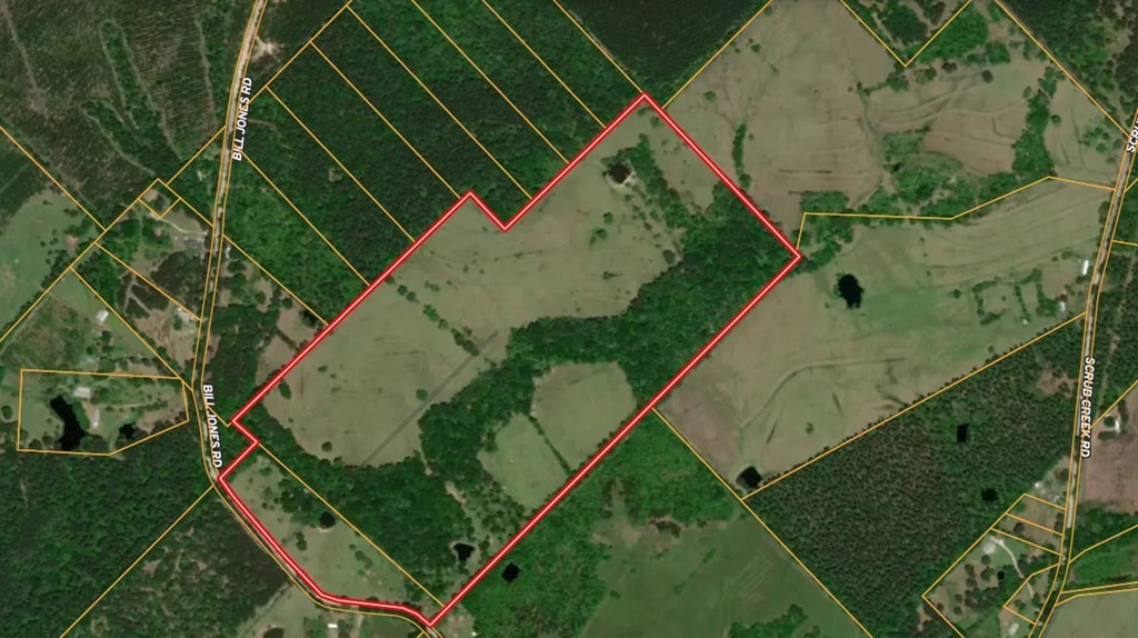 940 Bill Jones Road Groveton, TX 75845 - Photo 11 of 13