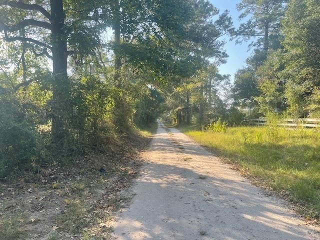 940 Bill Jones Road Groveton, TX 75845 - Photo 2 of 13