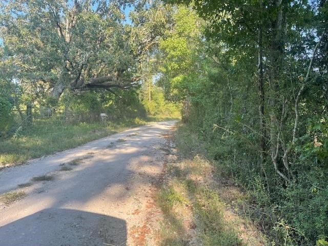 940 Bill Jones Road Groveton, TX 75845 - Photo 3 of 13 a view of a yard with plants and a bench