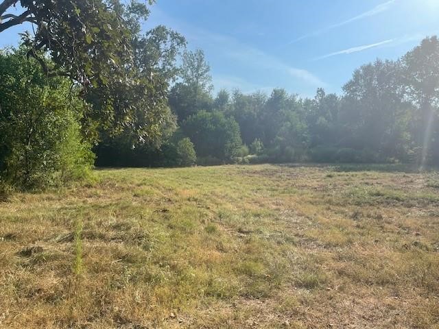 940 Bill Jones Road Groveton, TX 75845 - Photo 5 of 13 a view of a yard with trees