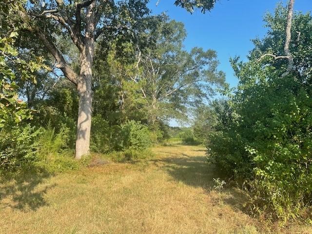 940 Bill Jones Road Groveton, TX 75845 - Photo 6 of 13 a view of lake view