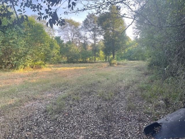 940 Bill Jones Road Groveton, TX 75845 - Photo 8 of 13 a view of dirt yard with a tree