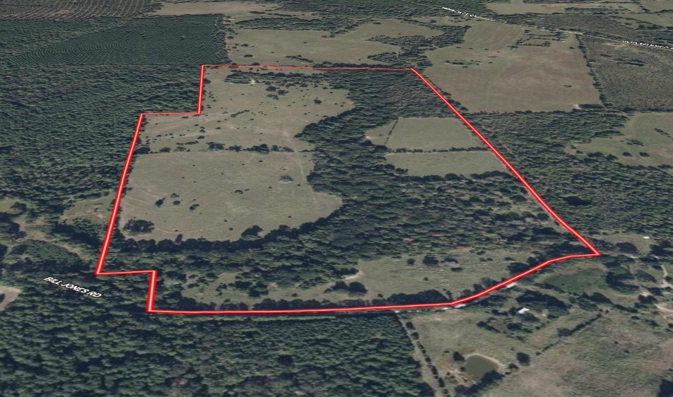 940 Bill Jones Road Groveton, TX 75845 - Photo 9 of 13 a bird sitting on top of a wooden floor