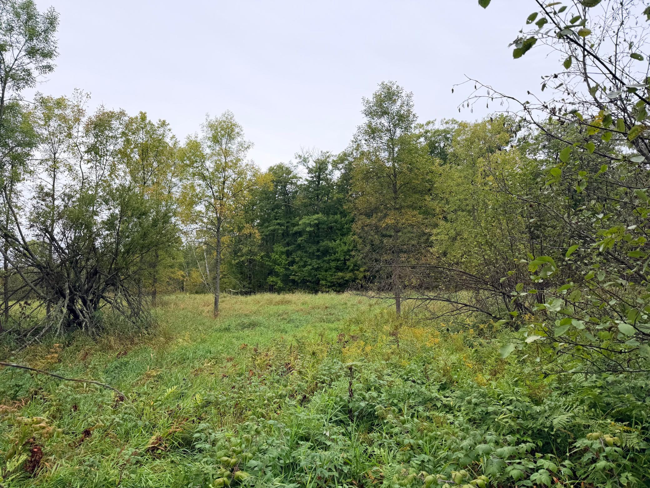 84227 Denham Road Willow River, MN 55795 - Photo 27 of 53 Gallery Image 27