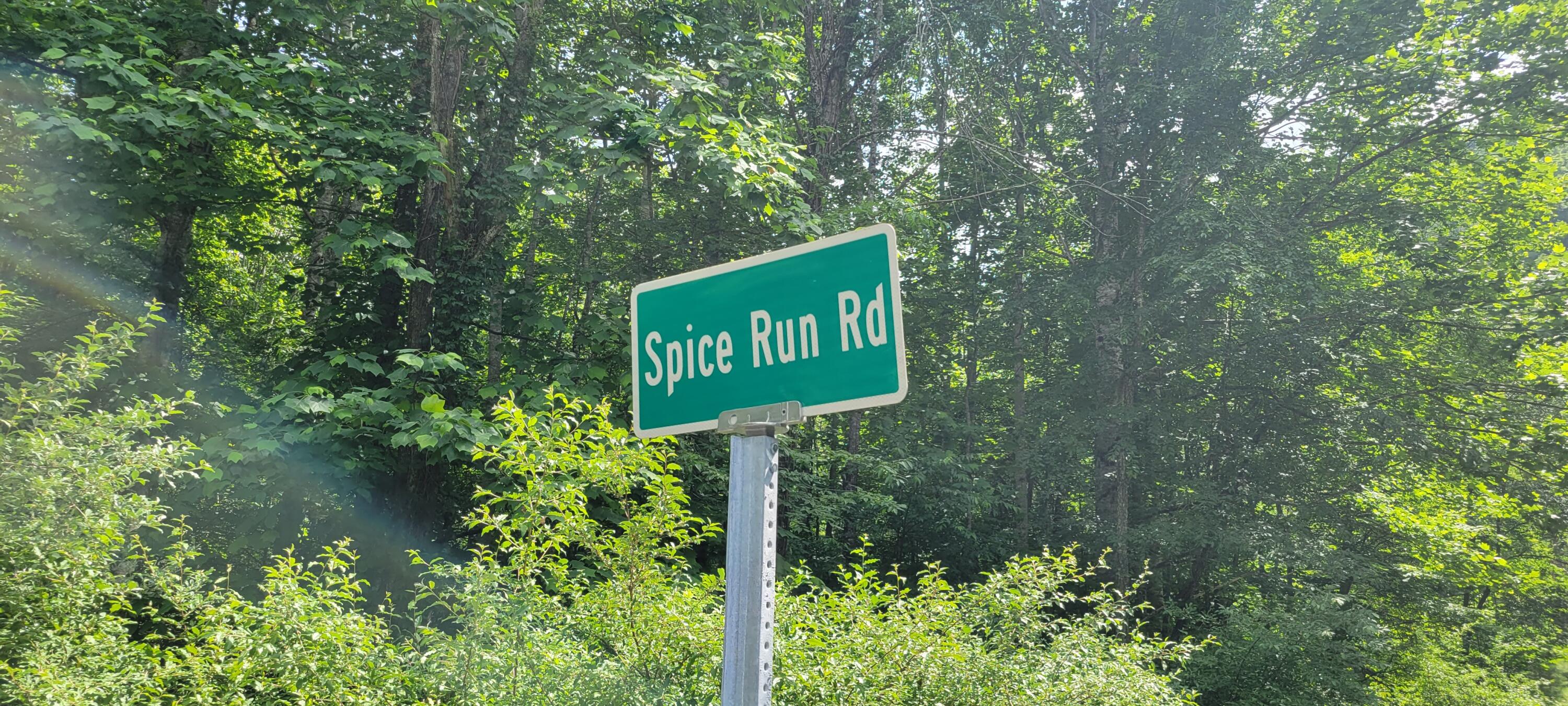Lot 3 Spice Run Road Hillsboro, WV 24946 - Photo 2 of 15 Gallery Image 2