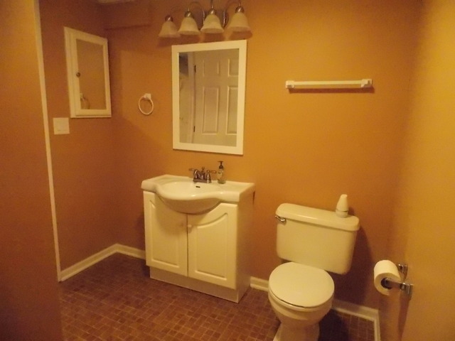 797 Sojourn Road New Lenox, IL 60451 - Photo 14 of 19