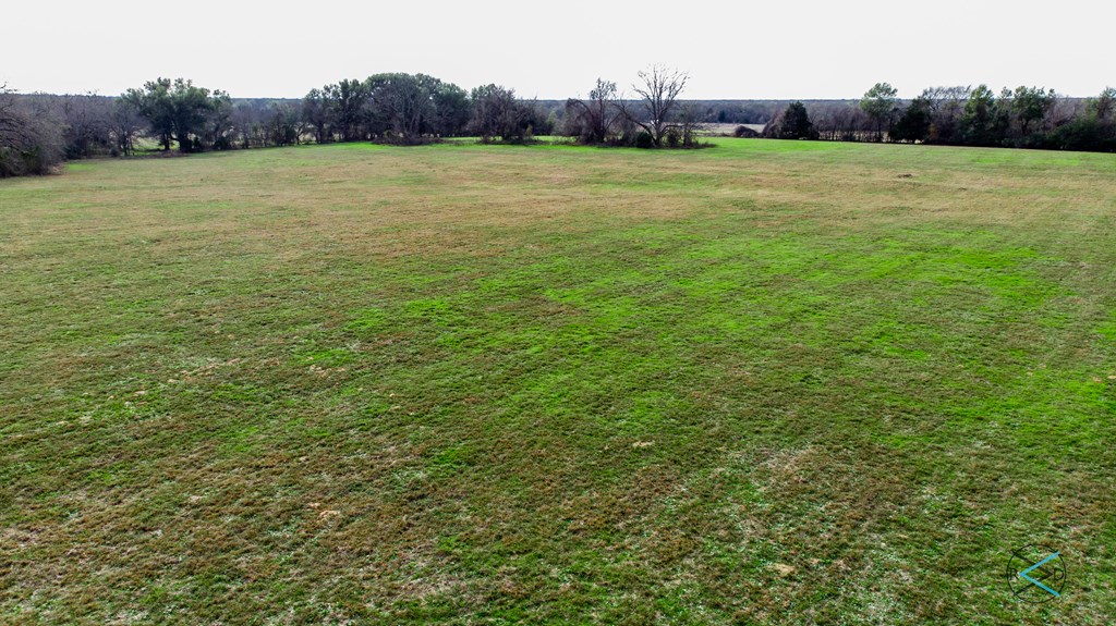 0 Fm 59 Athens, TX 75751 - Photo 8 of 11