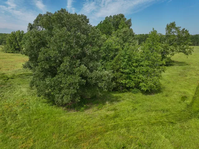 $90,000 | 3 Fm 2867, Henderson, TX 75654