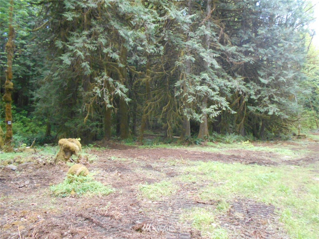 292 Coyote Road Brinnon, WA 98320 - Photo 11 of 38 Gallery Image 11