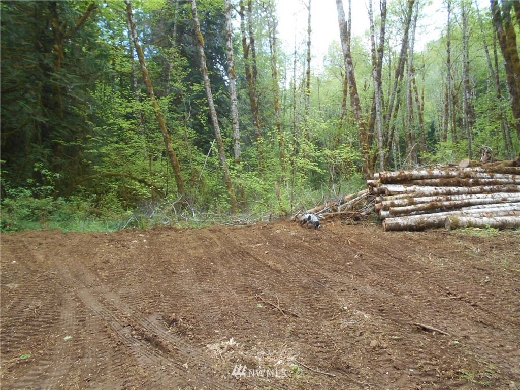 292 Coyote Road Brinnon, WA 98320 - Photo 15 of 38 Gallery Image 15