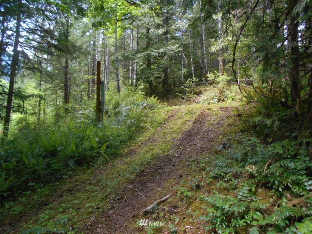292 Coyote Road Brinnon, WA 98320 - Photo 27 of 38 Gallery Image 27