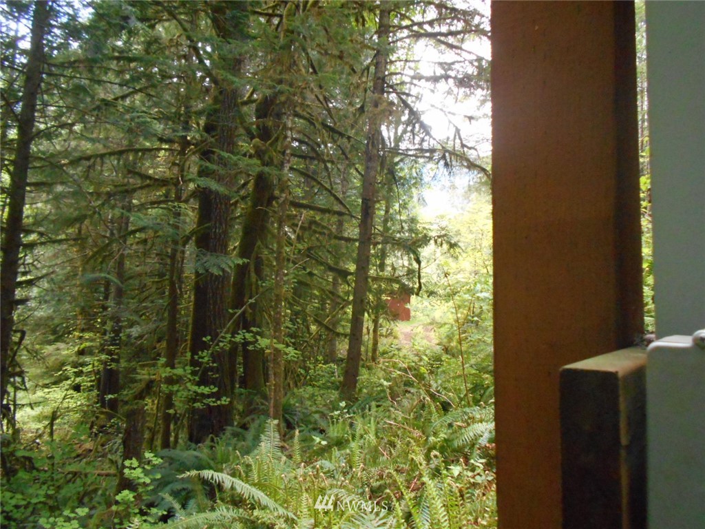 292 Coyote Road Brinnon, WA 98320 - Photo 29 of 38 Gallery Image 29