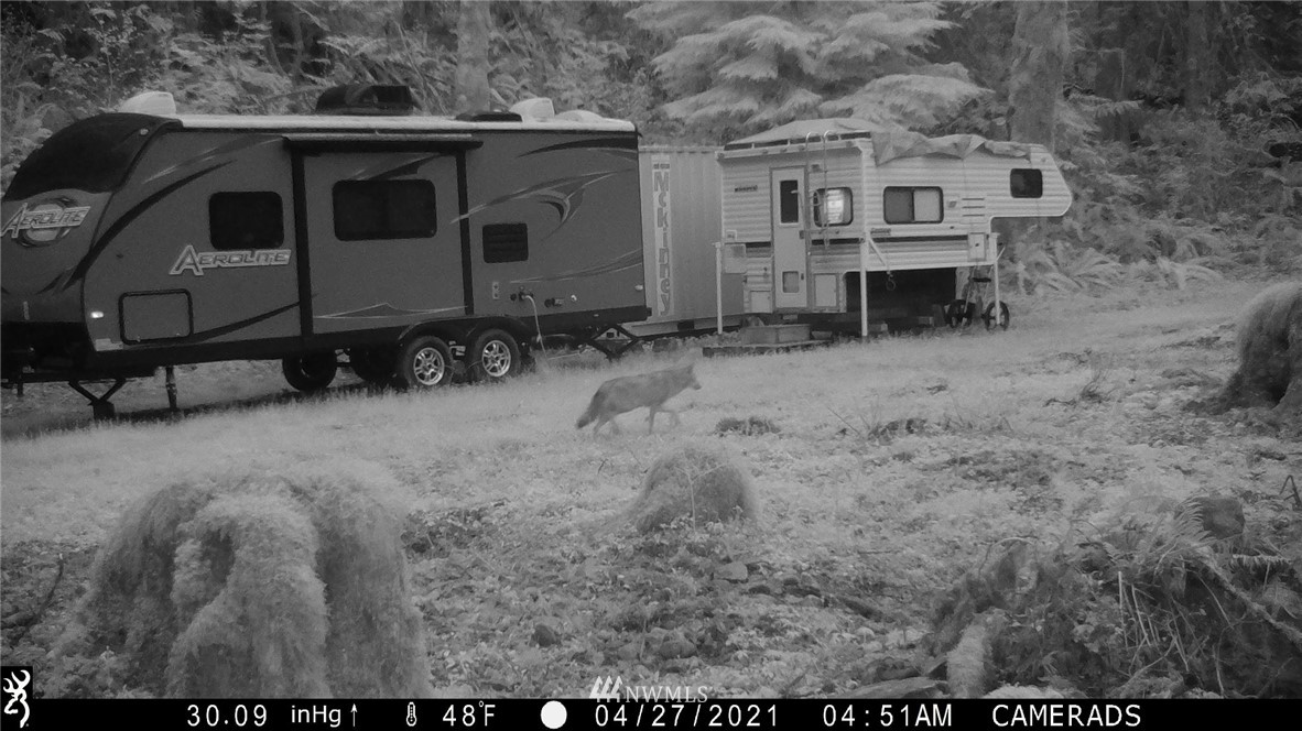 292 Coyote Road Brinnon, WA 98320 - Photo 31 of 38 Gallery Image 31