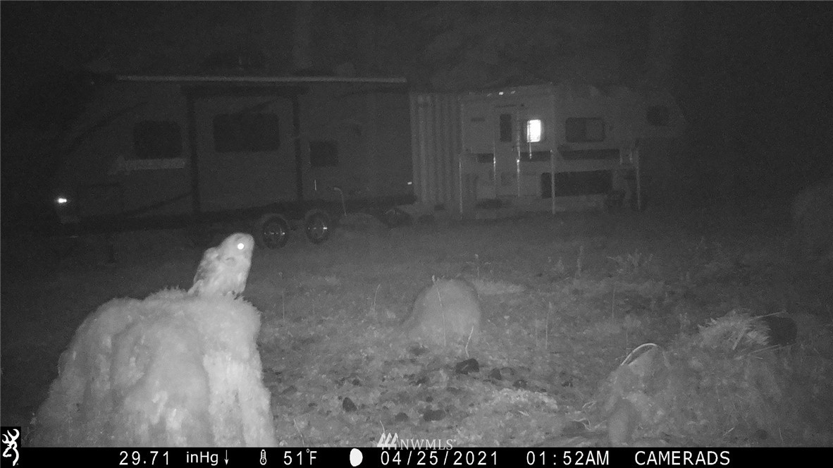292 Coyote Road Brinnon, WA 98320 - Photo 34 of 38 Gallery Image 34