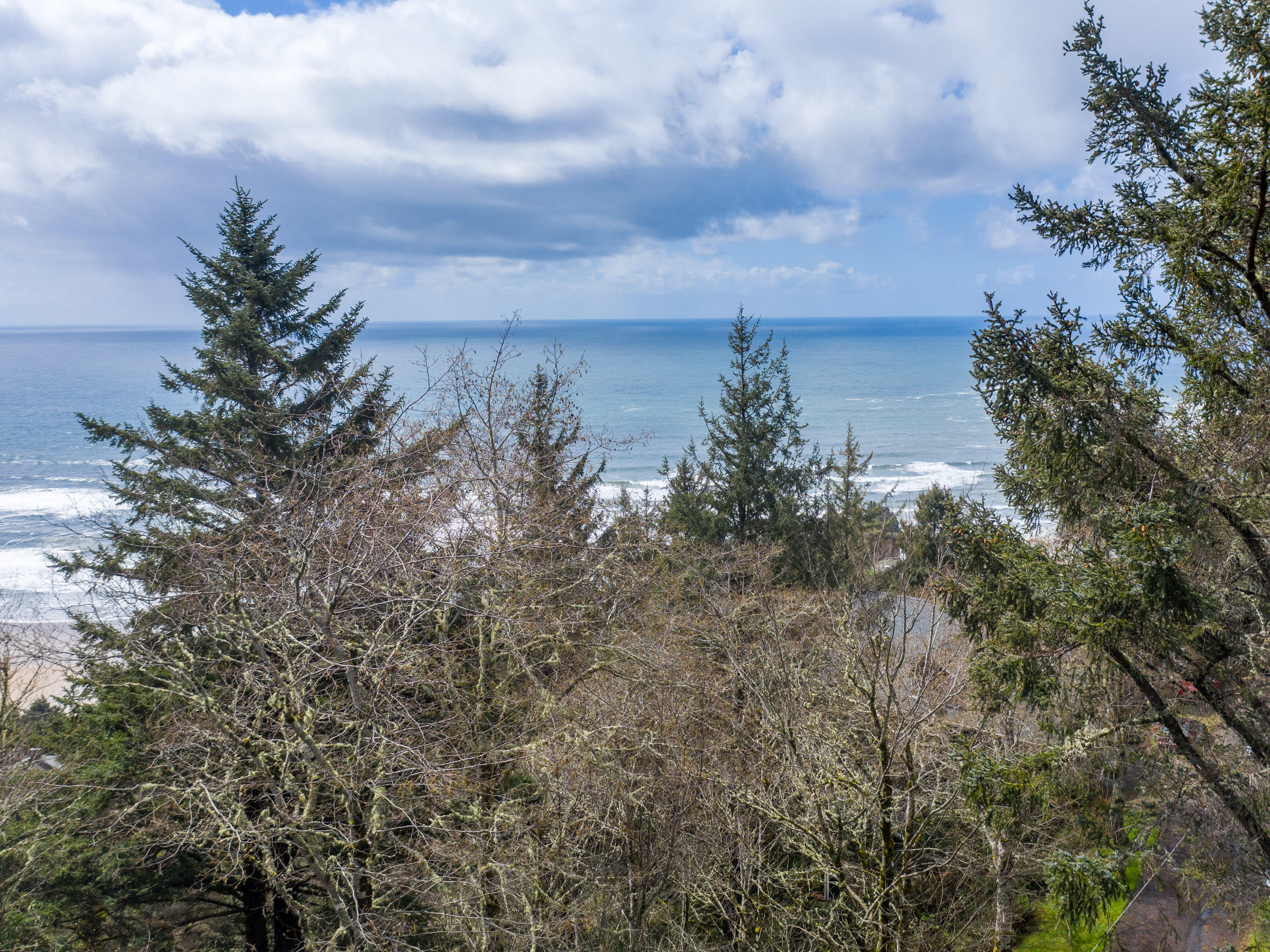 600 Norwester Road Oceanside, OR 97134 - Photo 2 of 13 view from top of lot