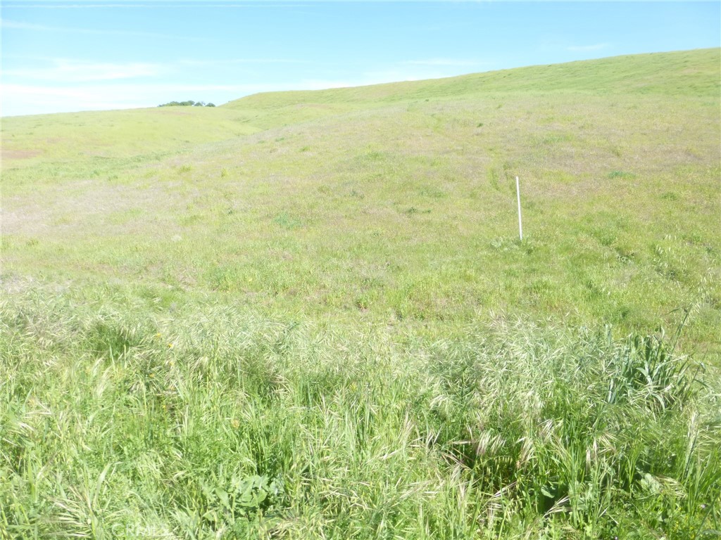 0 Douglas Road San Miguel, CA 93451 - Photo 19 of 75 Gallery Image 19