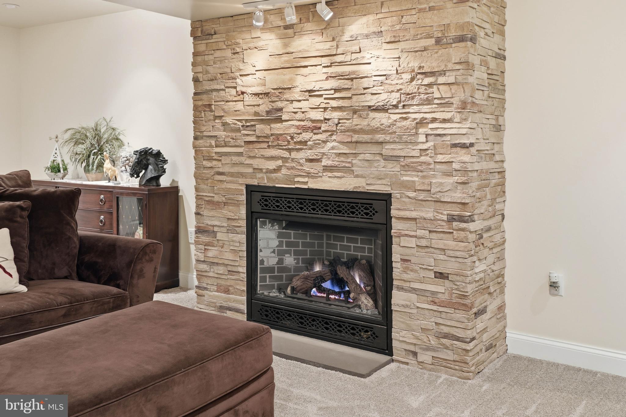 320 North New Street Lititz, PA 17543 - Photo 40 of 45 Recreation room with gas fireplace