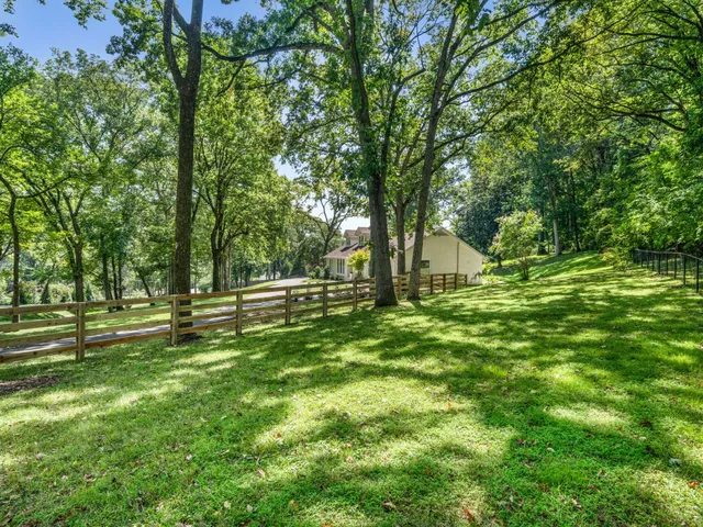 a view of a park with large trees