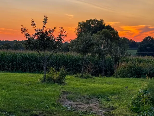 $249,900 | W3223 690th Avenue, Spring Valley, WI 54767