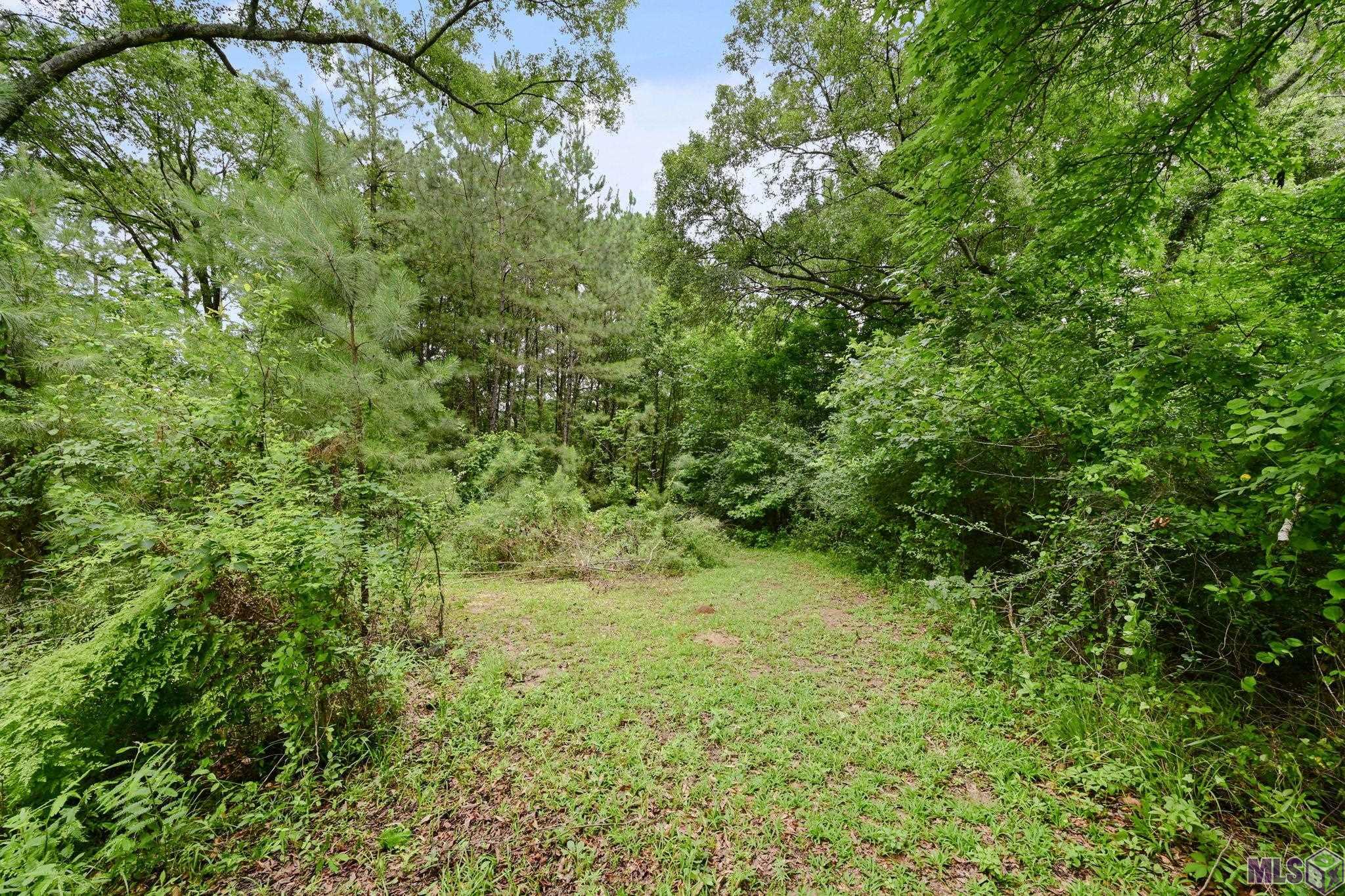 2208 Violet Street Jackson, LA 70748 - Photo 12 of 13 Backyard
