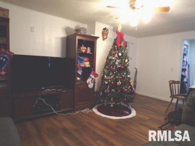 208 East A Street Alpha, IL 61413 - Photo 9 of 17 Gallery Image 9
