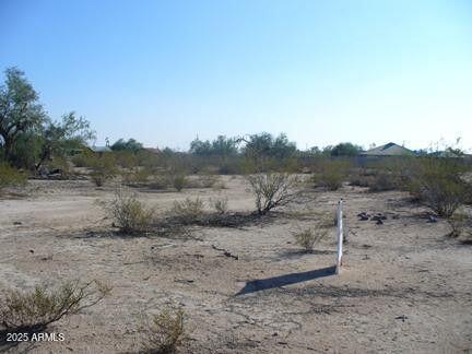 9396 North Linnet Road, Unit 10 Casa Grande, AZ 85194 - Photo 3 of 3 a view of dirt field with large trees