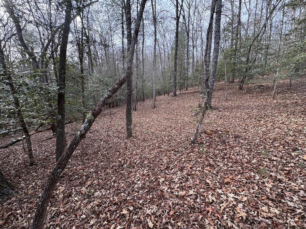 0 Multiple Lots Old Johnson Road Murphy, NC 28906 - Photo 2 of 35 Gallery Image 2