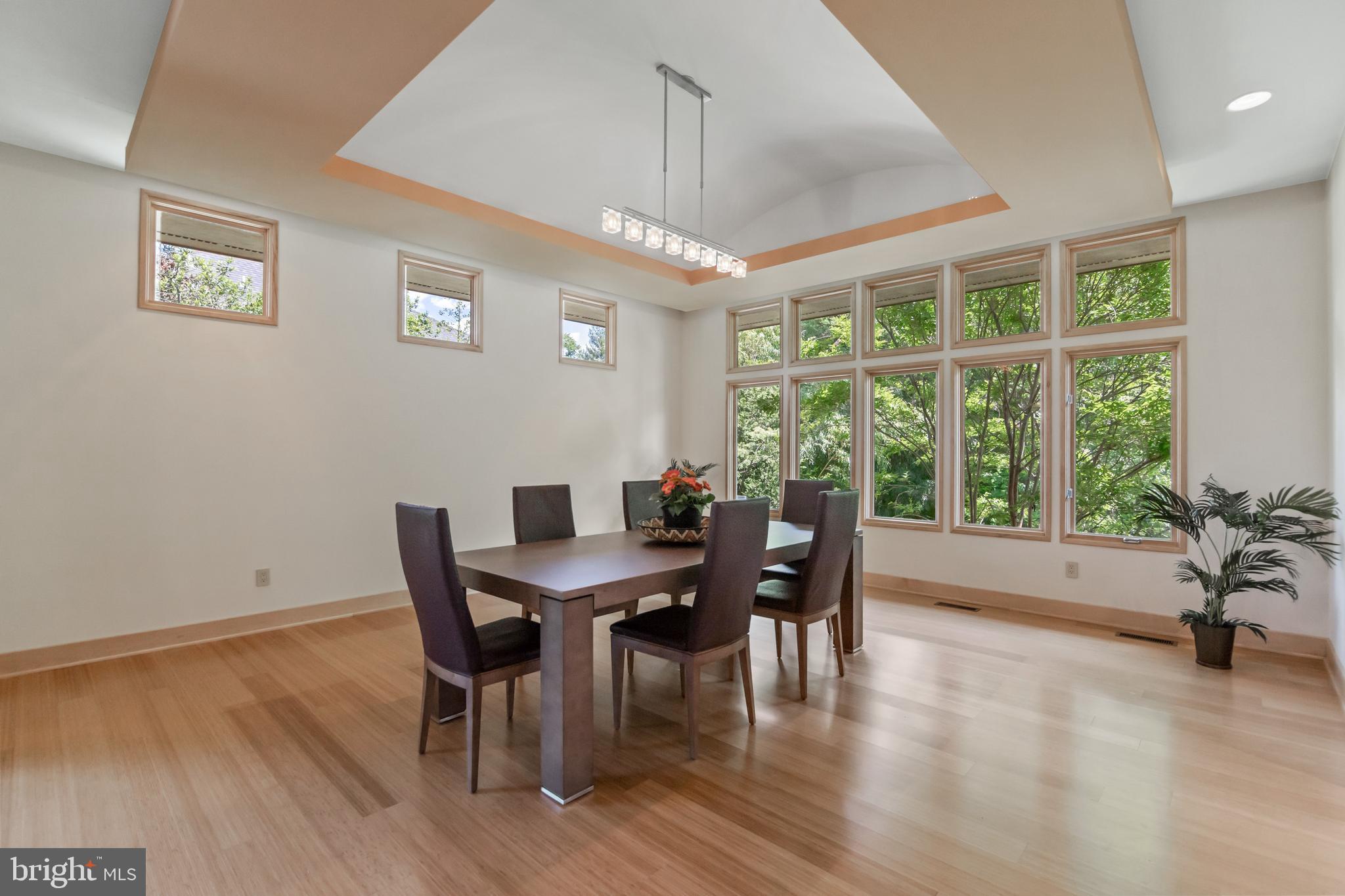 10107 Gary Road Potomac, MD 20854 - Photo 10 of 62 Formal Dining Room w/ Drop Barrel Vaulted Ceiling