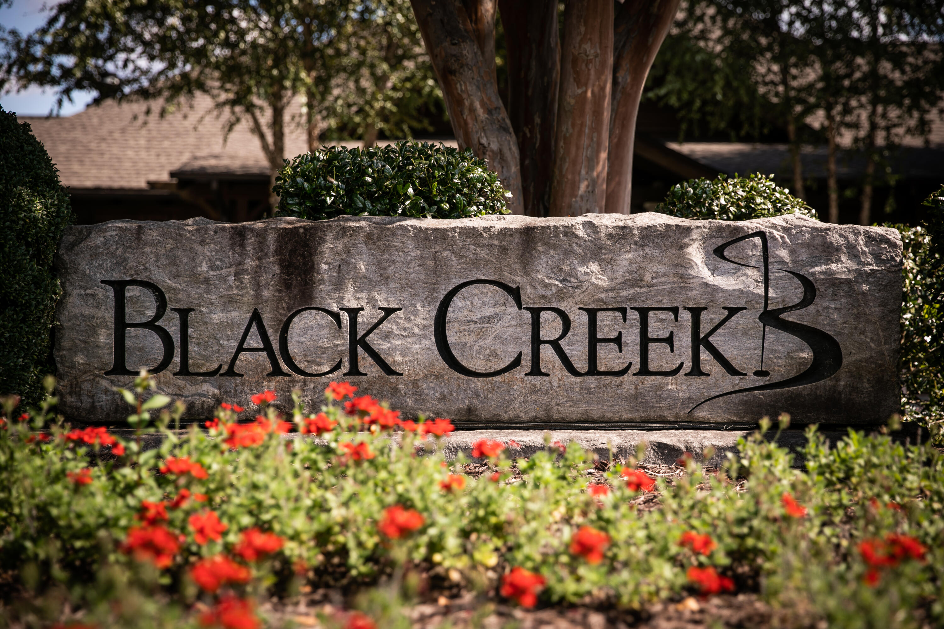 4597 Amethyst Road Chattanooga, TN 37419 - Photo 44 of 47 BlackCreekFall2021_21